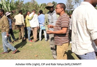 Photo report of the Training of Trainers on Scaling of Africa RISING Project validated technologies/innovations in the Ethiopian Highlands, Hossana, SNNPR, 4-6 April 2017 