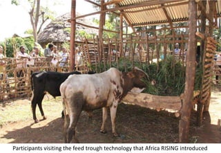 Photo report of the Training of Trainers on Scaling of Africa RISING Project validated technologies/innovations in the Ethiopian Highlands, Hossana, SNNPR, 4-6 April 2017 