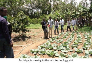 Photo report of the Training of Trainers on Scaling of Africa RISING Project validated technologies/innovations in the Ethiopian Highlands, Hossana, SNNPR, 4-6 April 2017 