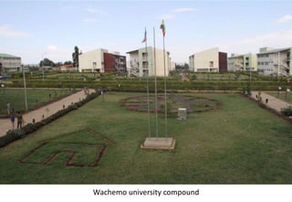 Photo report of the Training of Trainers on Scaling of Africa RISING Project validated technologies/innovations in the Ethiopian Highlands, Hossana, SNNPR, 4-6 April 2017 