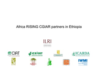 Photo report of the Training of Trainers on Scaling of Africa RISING Project validated technologies/innovations in the Ethiopian Highlands, Hossana, SNNPR, 4-6 April 2017 