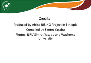 Photo report of the Training of Trainers on Scaling of Africa RISING Project validated technologies/innovations in the Ethiopian Highlands, Hossana, SNNPR, 4-6 April 2017 