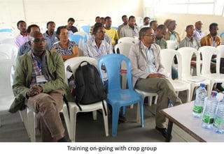 Photo report of the Training of Trainers on Scaling of Africa RISING Project validated technologies/innovations in the Ethiopian Highlands, Hossana, SNNPR, 4-6 April 2017 