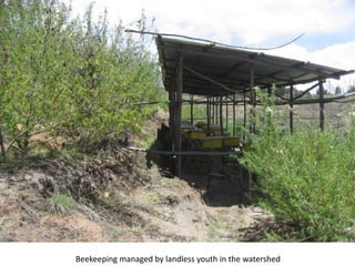 Photo report on landscape-based exchange visits between local partners of the Basona Worena and Lemo Africa RISING sites, Ethiopia, 11-13 May 2016