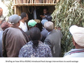 Photo report on landscape-based exchange visits between local partners of the Basona Worena and Lemo Africa RISING sites, Ethiopia, 11-13 May 2016