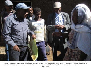 Photo report on landscape-based exchange visits between local partners of the Basona Worena and Lemo Africa RISING sites, Ethiopia, 11-13 May 2016