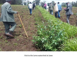 Photo report on landscape-based exchange visits between local partners of the Basona Worena and Lemo Africa RISING sites, Ethiopia, 11-13 May 2016