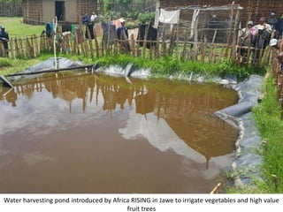 Photo report on landscape-based exchange visits between local partners of the Basona Worena and Lemo Africa RISING sites, Ethiopia, 11-13 May 2016