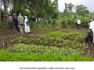 Photo report on landscape-based exchange visits between local partners of the Basona Worena and Lemo Africa RISING sites, Ethiopia, 11-13 May 2016