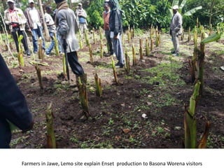 Photo report on landscape-based exchange visits between local partners of the Basona Worena and Lemo Africa RISING sites, Ethiopia, 11-13 May 2016