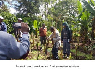 Photo report on landscape-based exchange visits between local partners of the Basona Worena and Lemo Africa RISING sites, Ethiopia, 11-13 May 2016