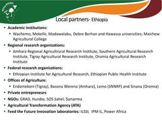 Photo report on landscape-based exchange visits between local partners of the Basona Worena and Lemo Africa RISING sites, Ethiopia, 11-13 May 2016