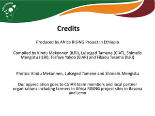 Photo report on landscape-based exchange visits between local partners of the Basona Worena and Lemo Africa RISING sites, Ethiopia, 11-13 May 2016