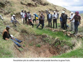 Photo report on landscape-based exchange visits between local partners of the Basona Worena and Lemo Africa RISING sites, Ethiopia, 11-13 May 2016