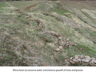 Photo report on landscape-based exchange visits between local partners of the Basona Worena and Lemo Africa RISING sites, Ethiopia, 11-13 May 2016