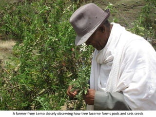 Photo report on landscape-based exchange visits between local partners of the Basona Worena and Lemo Africa RISING sites, Ethiopia, 11-13 May 2016