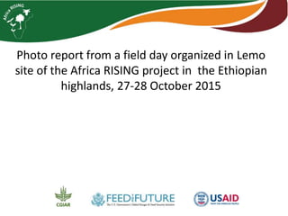 Photo report from a field day organized in Lemo
site of the Africa RISING project in the Ethiopian
highlands, 27-28 October 2015
 