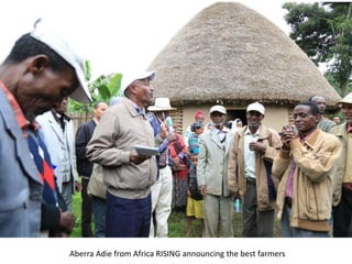Photo trip report on irrigated fodder and sheep fattening in Lemo woreda, 23-25 July 2014