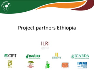 Photo trip report on irrigated fodder and sheep fattening in Lemo woreda, 23-25 July 2014