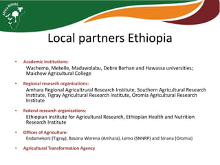 Photo trip report on irrigated fodder and sheep fattening in Lemo woreda, 23-25 July 2014