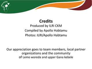 Photo trip report on irrigated fodder and sheep fattening in Lemo woreda, 23-25 July 2014