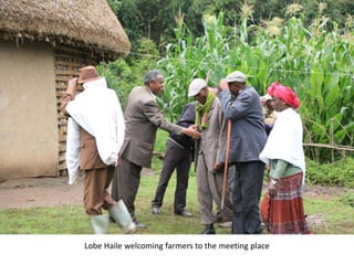 Photo trip report on irrigated fodder and sheep fattening in Lemo woreda, 23-25 July 2014