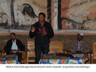 Photo trip report on irrigated fodder and sheep fattening in Lemo woreda, 23-25 July 2014