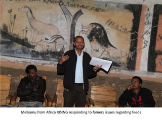 Photo trip report on irrigated fodder and sheep fattening in Lemo woreda, 23-25 July 2014