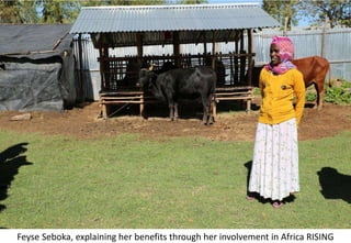 Photo report of the Training of Trainers on Scaling of Africa RISING Project validated technologies/innovations in the Ethiopian Highlands, Bale Robe, Oromia, 2-4 May 2017