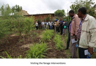 Photo report of the Training of Trainers on Scaling of Africa RISING Project validated technologies/innovations in the Ethiopian Highlands, Bale Robe, Oromia, 2-4 May 2017