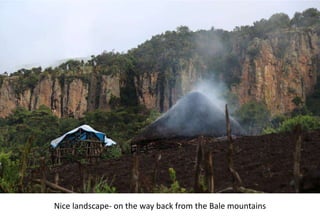 Photo report of the Training of Trainers on Scaling of Africa RISING Project validated technologies/innovations in the Ethiopian Highlands, Bale Robe, Oromia, 2-4 May 2017