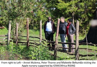Photo report of the Training of Trainers on Scaling of Africa RISING Project validated technologies/innovations in the Ethiopian Highlands, Bale Robe, Oromia, 2-4 May 2017