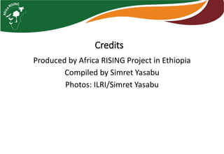 Photo report of the Training of Trainers on Scaling of Africa RISING Project validated technologies/innovations in the Ethiopian Highlands, Bale Robe, Oromia, 2-4 May 2017