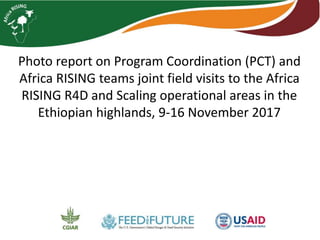 Photo report on Program Coordination (PCT) and
Africa RISING teams joint field visits to the Africa
RISING R4D and Scaling operational areas in the
Ethiopian highlands, 9-16 November 2017
 