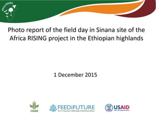 Photo report of the field day in Sinana site of the
Africa RISING project in the Ethiopian highlands,
1 December 2015
 