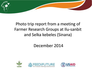 Photo trip report from a meeting of
Farmer Research Groups at Ilu-sanbit
and Selka kebeles (Sinana)
December 2014
 
