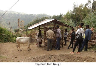 Photo report of the Training of Trainers on Scaling of Africa RISING Project validated technologies/innovations in the Ethiopian Highlands, Mekele, Tigray, 19-21 April 2017