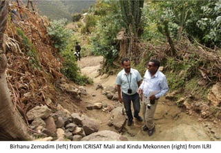 Photo report of the Training of Trainers on Scaling of Africa RISING Project validated technologies/innovations in the Ethiopian Highlands, Mekele, Tigray, 19-21 April 2017