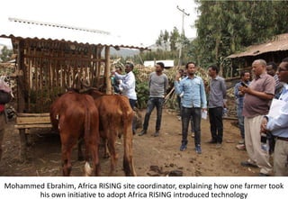 Photo report of the Training of Trainers on Scaling of Africa RISING Project validated technologies/innovations in the Ethiopian Highlands, Mekele, Tigray, 19-21 April 2017