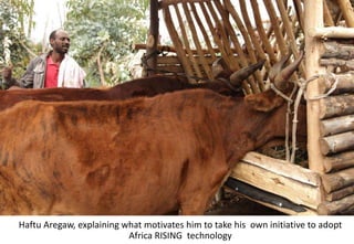 Photo report of the Training of Trainers on Scaling of Africa RISING Project validated technologies/innovations in the Ethiopian Highlands, Mekele, Tigray, 19-21 April 2017