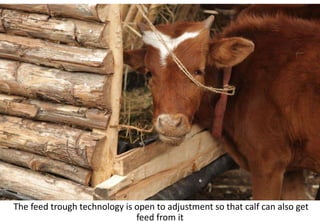 Photo report of the Training of Trainers on Scaling of Africa RISING Project validated technologies/innovations in the Ethiopian Highlands, Mekele, Tigray, 19-21 April 2017