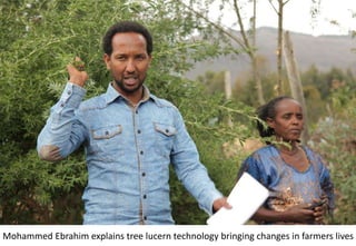 Photo report of the Training of Trainers on Scaling of Africa RISING Project validated technologies/innovations in the Ethiopian Highlands, Mekele, Tigray, 19-21 April 2017