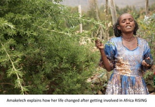 Photo report of the Training of Trainers on Scaling of Africa RISING Project validated technologies/innovations in the Ethiopian Highlands, Mekele, Tigray, 19-21 April 2017