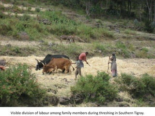Photo report on Africa RISING R4D and Scaling initiatives field visit in southern Tigray, Ethiopia, 24-25 October 2017