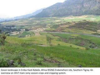 Photo report on Africa RISING R4D and Scaling initiatives field visit in southern Tigray, Ethiopia, 24-25 October 2017