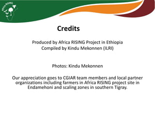 Photo report on Africa RISING R4D and Scaling initiatives field visit in southern Tigray, Ethiopia, 24-25 October 2017