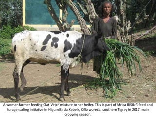 Photo report on Africa RISING R4D and Scaling initiatives field visit in southern Tigray, Ethiopia, 24-25 October 2017