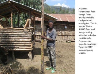 Photo report on Africa RISING R4D and Scaling initiatives field visit in southern Tigray, Ethiopia, 24-25 October 2017