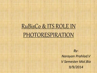 RuBisCo & ITS ROLE IN
PHOTORESPIRATION
By-
Narayan Prahlad.V
V Semester Mol.Bio
9/9/2014
 
