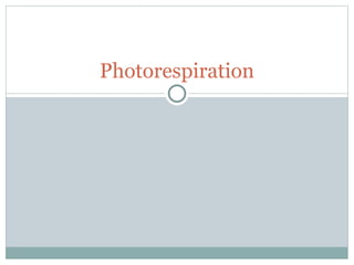 Photorespiration
 